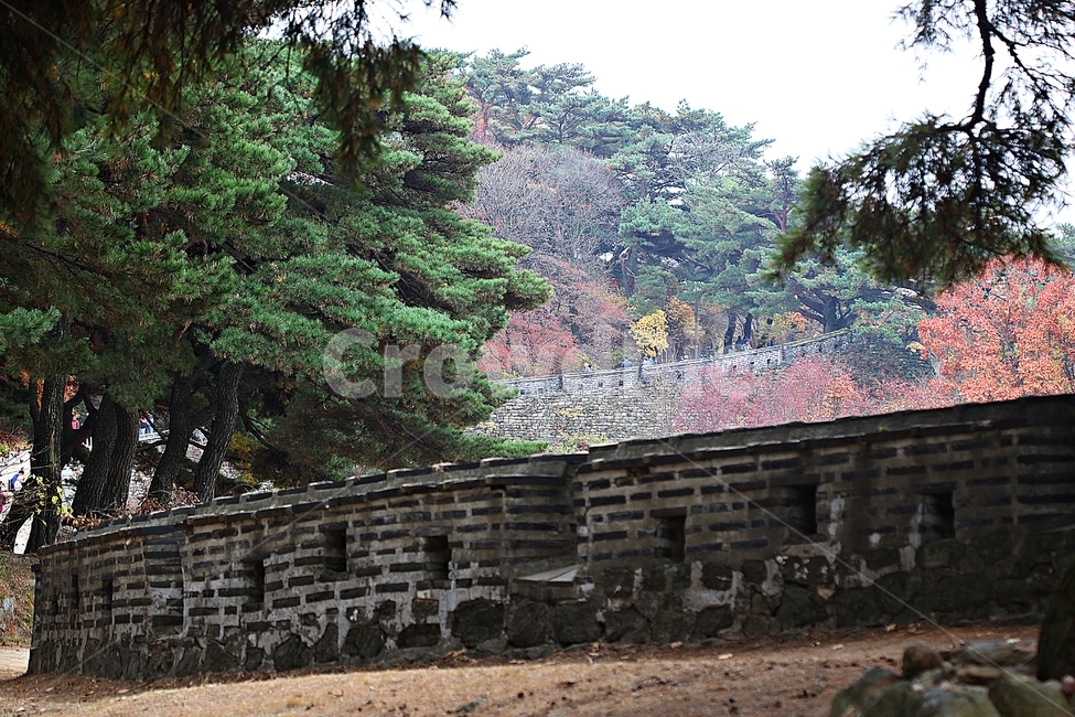 남한산성,성,성곽,단풍,낙엽,길,둘레길,숲,숲길,담,돌담,가을,자연,풍경,벽,울긋불긋,산성,식물,가을,계절,fall,autumn,season