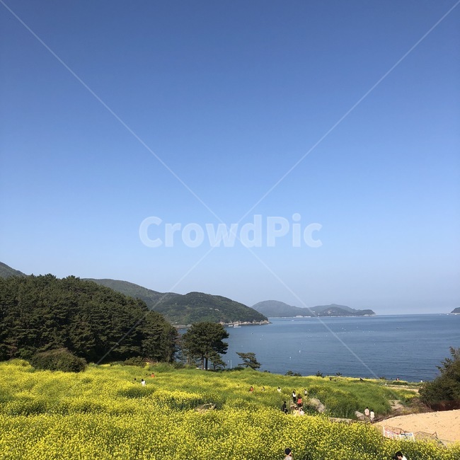 통영,풍경,초록색,힐링,나무,풀,대한민국,korea,wood,green,감성,하늘,파란색,blue,바다