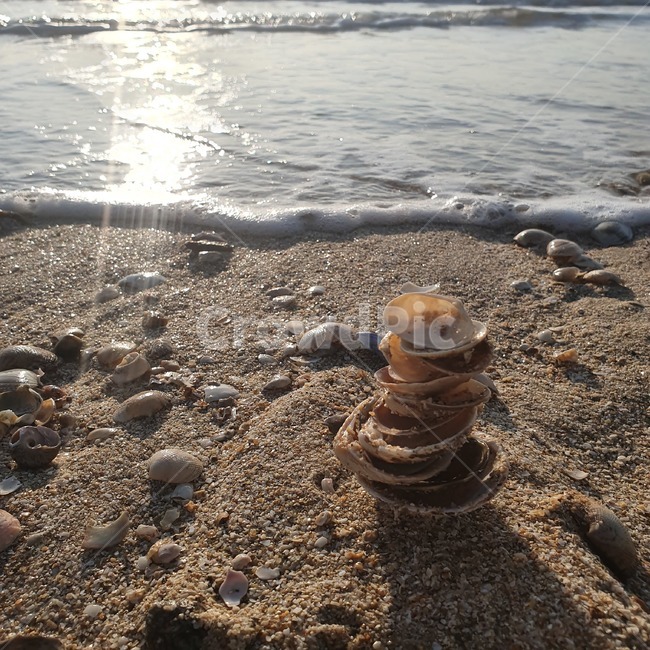 조개,바다,물,모래,빛,sea,자갈,흙길,dirtroad,gravel,시원한,상쾌한,조개껍질
