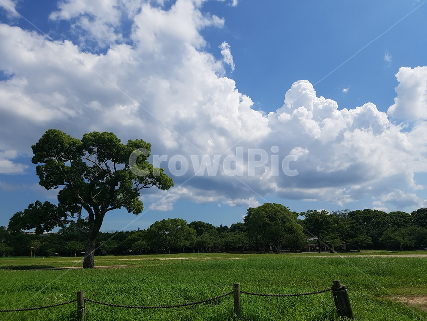 하늘,자연,날씨,들,구름,나무,자연,풍경,nature,landscape,outdoors,옥외,weather,field,grassland,목초지
