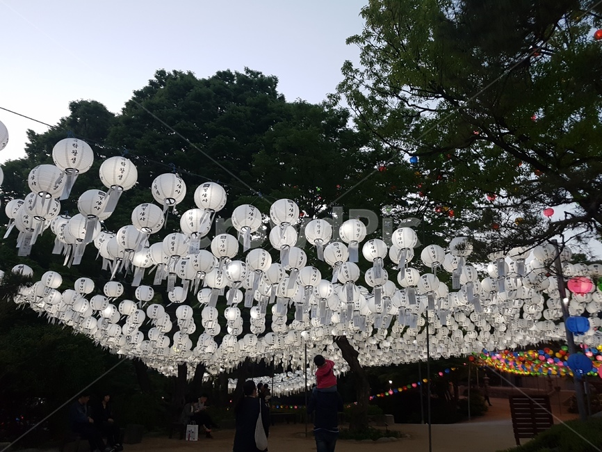 연등,초파일,석가탄신일,길상사,절,사찰,lotuslantern