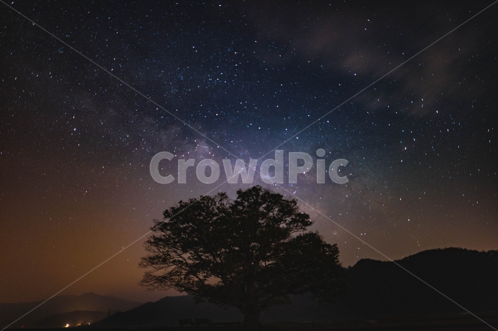 밤하늘,은하수,밀키웨이,나무,銀河水,milky,milkyway,쏟아지는,별,한국,보은,galaxy,미리내,자연,풍경,nature,landscape,야경,밤,nightscape,night,식물,plants,나무,trees,wood,실루엣,그림자,silhouette,shadow,색깔,색상,색채,색감,color sense,color sensitivity,feeling of color,outdoors,옥외