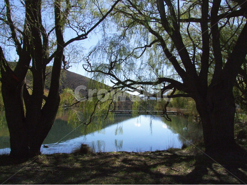 호수,호숫가,나무,산,그늘,풍경,길,하늘,자연,lake,lakeside,riverside,river,trees,shade,mountain,road,sky,cloud,nature,tree,natural,weather,배경사진,배경화면,배경,풍경사진,평화로운,분위기,차분한,차분함,조용한,조용함,평화로움,scene,view,ambience,atmosphere,calm,peaceful,quiet,tranquil,still,background,풍광,경치,구름,감성사진,자연,풍경,nature,landscape,해외,외국,세계,foreign,oversea,world,세계자연풍경,해외자연풍경,외국자연풍경,world nature landscape,plant,식물
