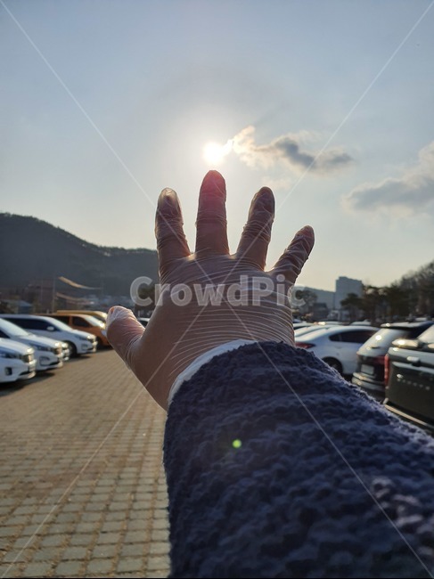 car,차,차량,automobile,자동차,transportation,교통,코로나,바이러스