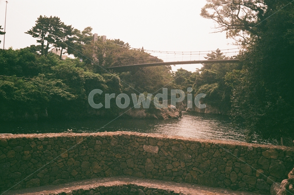 제주도,다리,산,호수,바다,필름
