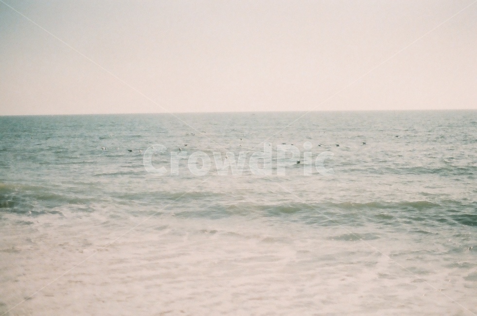 파도,ocean,sea,바다,자연