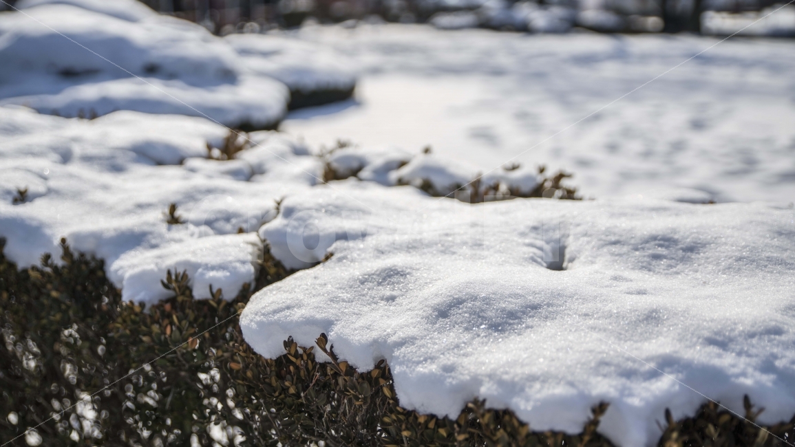 겨울,눈,풍경,주위,감성,겨울,계절,winter,season