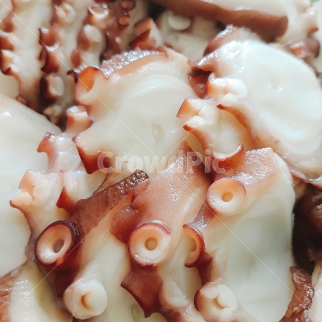 문어,문어숙회,음식,food,octopus,koreanfood,근접샷