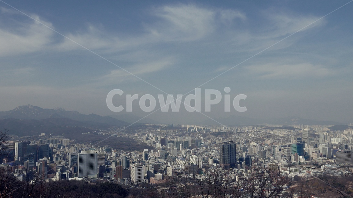 seoul,맑은하늘,도시,빌딩,대한민국