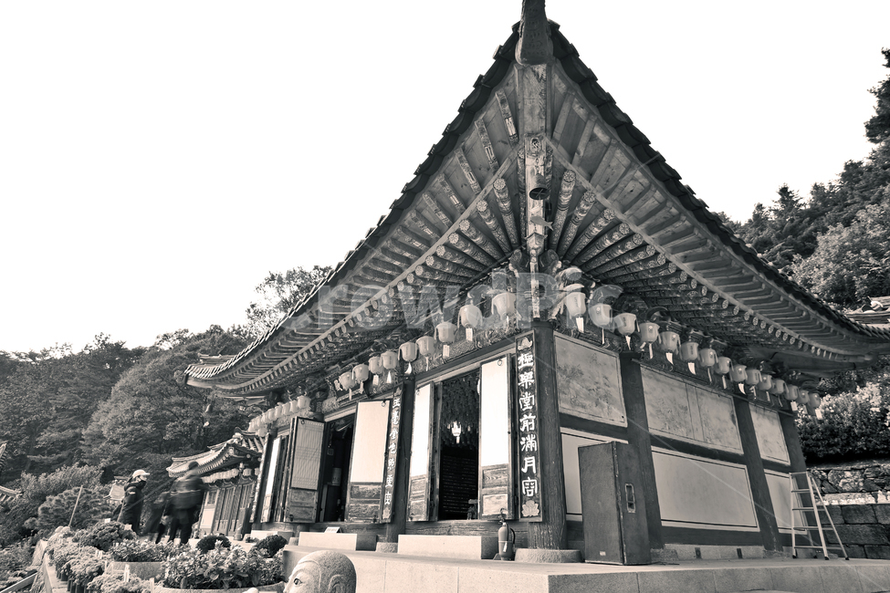 청계사,의왕시,불교사찰,사찰,극락보전,아미타불,당우,흑백