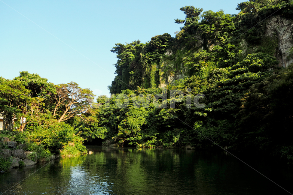 제주도,자연,풍경,jejuisland,jeju,nature,landscape,강,호수,계곡,산,절벽,river,lake,valley,mountain,cliff,자연,풍경,nature,landscape,제주도,jeju,jeju island,vegetation,초목,plant,식물,land,땅,outdoors,옥외,water,물,tree,나무,rainforest,열대 우림