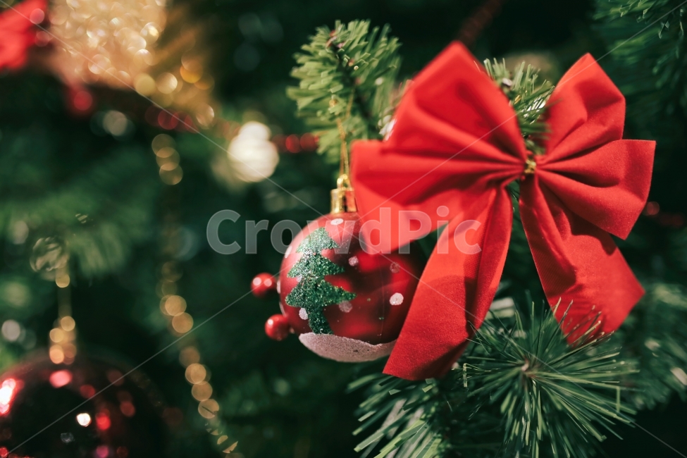 크리스마스,메리크리스마스,겨울,성탄절,merry,christmas,winter,snow,행운,제주,빨강,red,정열,열정,감성,감성사진,리본,장식,크리스마스장식,데코,데코레이션,겨울,계절,winter,season,기념일,축하,anniversary,congratulation,celebrate,celebration,메리크리스마스,성탄절,merry christmas,감성,sensible,feeling,사물,물건,오브젝트,thing,object,matter