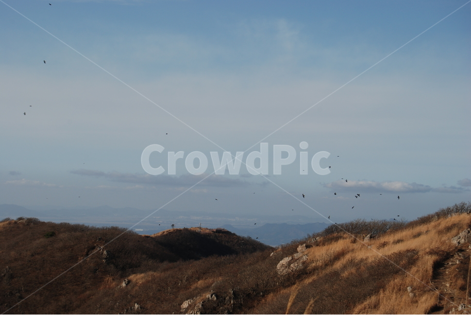 오서산,자연휴양림,보령시,100대명산,등산로,하늘,자연,풍경,nature,landscape,한국자연풍경,한국자연경관,korea nature landscape,outdoors,옥외,adventure,모험,leisure activities,레저 활동