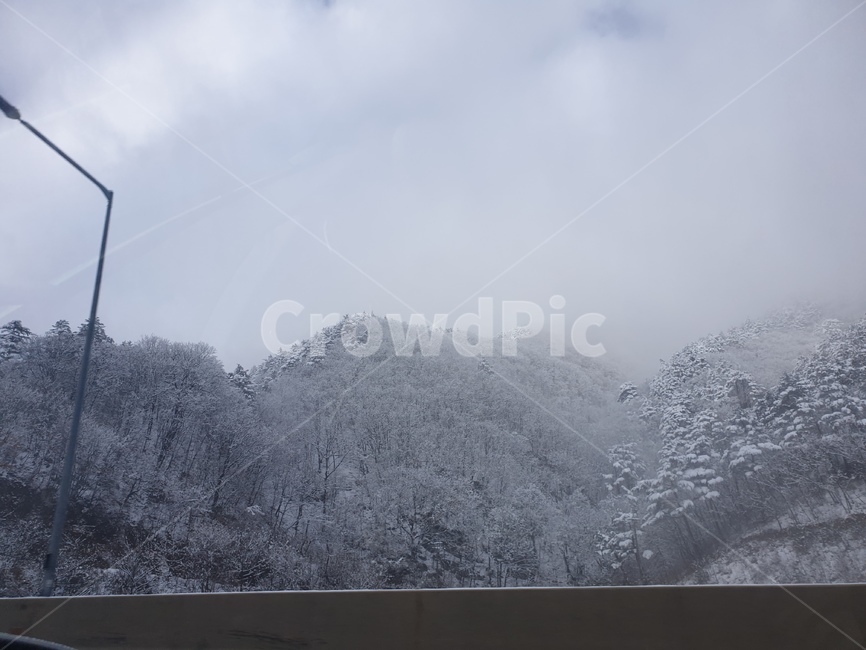 풍경,자연,눈,하얀눈,눈꽃,자연,풍경,nature,landscape