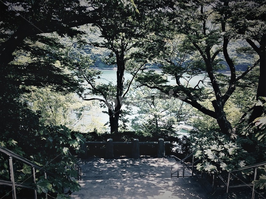 숲길,휴식,풍경,숲,감성,배경,색감,rest,힐링,healing,나무,그림자,forest,맑음,자연,natuer,relaxation,산책,feeling,빛,햇빛,한산도,통영,초록,여름,한적함,평화로움,평안한,따뜻한,녹색,분위기,계절,summer,season,제승당,trees