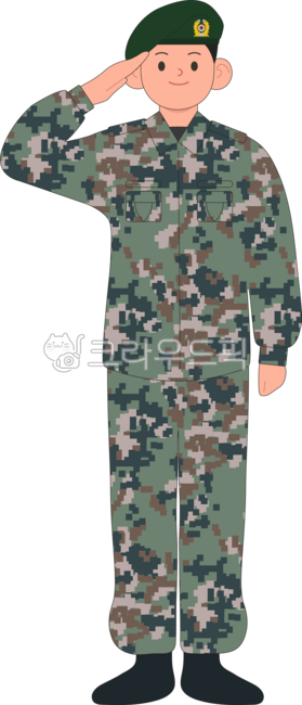 soldier,national army,army,male soldier,male army,salute,memorial day,national armed forces day,war,korean war