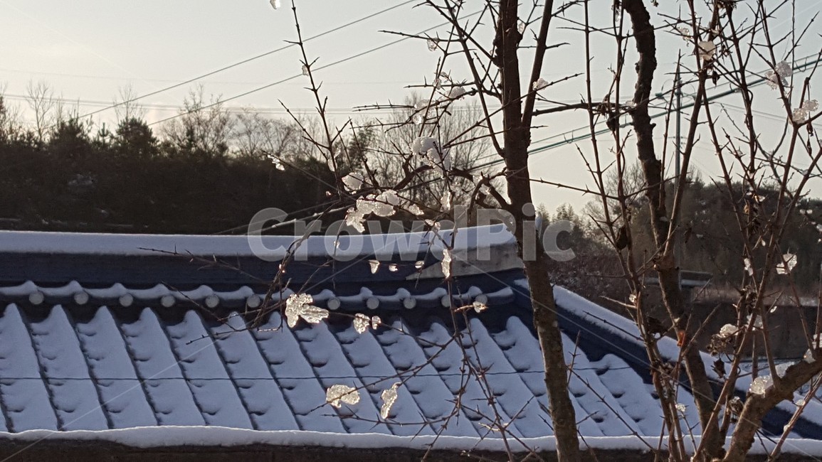 시골,자연,풍경,눈,고향,겨울,계절,winter,season
