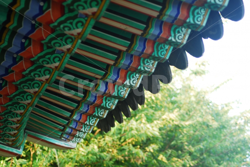 한옥지붕,단청,전통지붕,사찰,처마,건축물,건물외관,exterior,building,structure,architecture,construction,한국전통,한국문화,korean traditional,korean culture