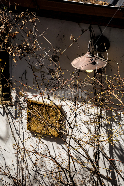 가로등,벽,담,streetlight,wall