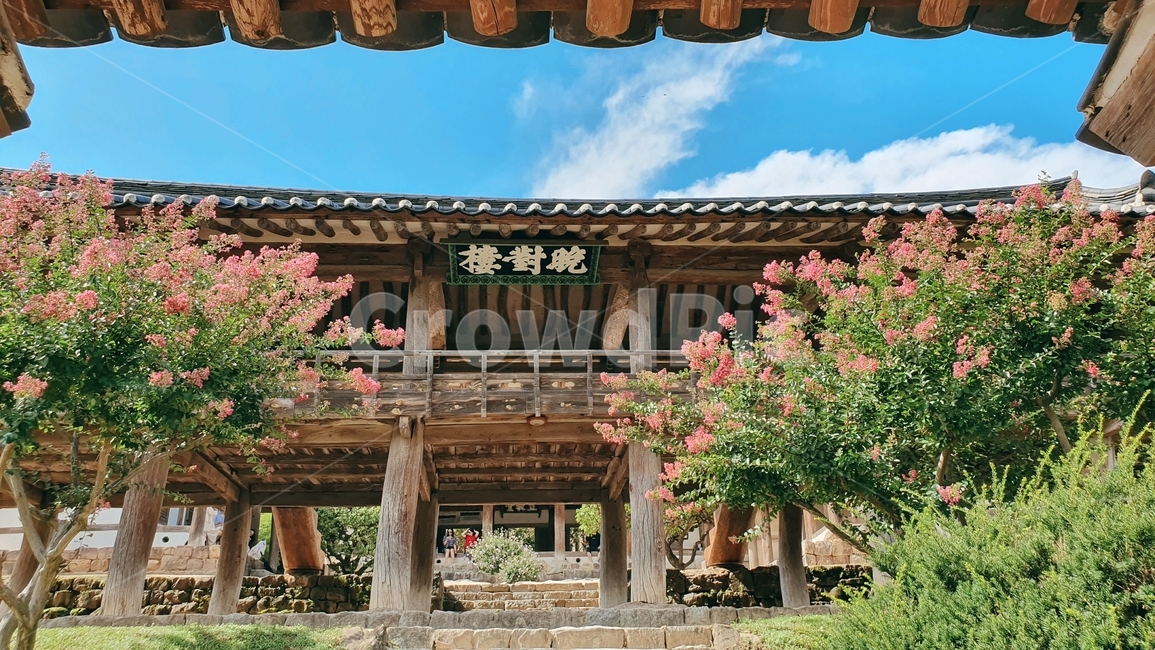 한국의멋,배롱나무,하늘,한옥,기와,한국,한국전통,한국문화,korean traditional,korean culture,건축물,건물외관,exterior,building,structure,architecture,construction