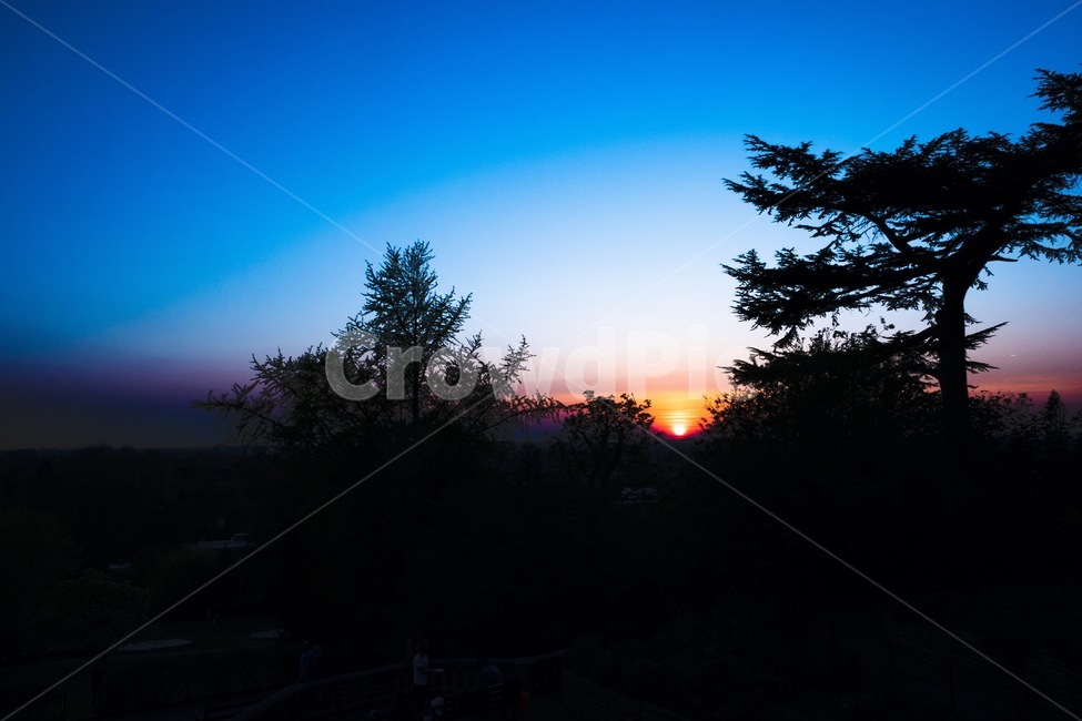 노을,일몰,자연,태양,sunset,nature,sun,나무,tree,풍경