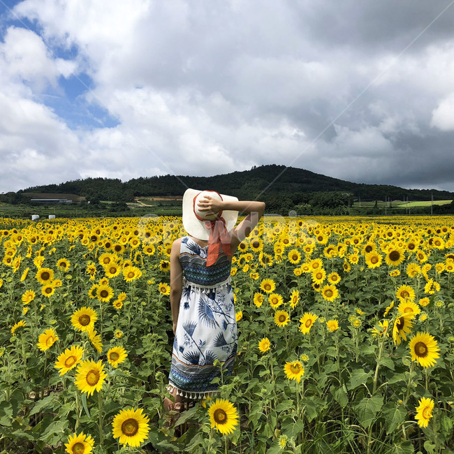 sky,Rural,nature,back,straw hat,sunflower,summer,grassland,flower,cloud,mountain,field,person,plant