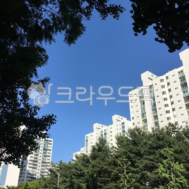 아파트,하늘,나무,건물,고층건물,apartmentbuilding