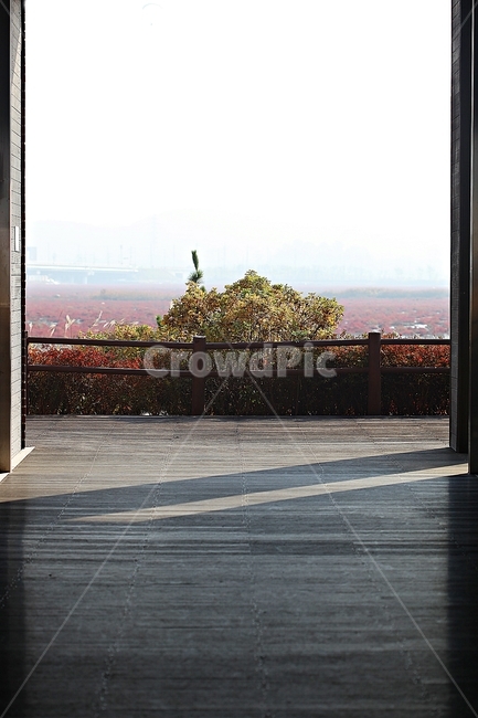 갯벌,뻘,소래습지생태공원,생태공원,함초,식물,자연,풍경,갯골,자연,풍경,nature,landscape