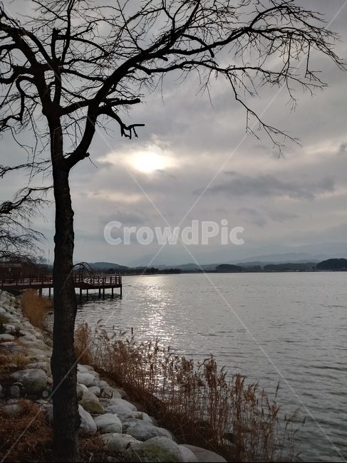 water,물,waterfront,워터프론트,강릉,호수,경포호수,자연,풍경,nature,landscape