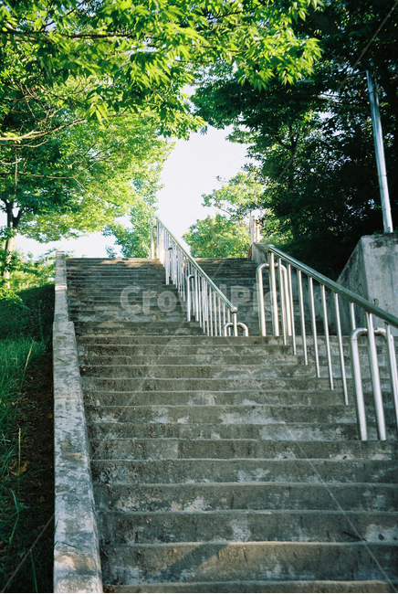 계단,공원,정원,나무,길,자연,풍경,nature,landscape,banister,난간,handrail,staircase