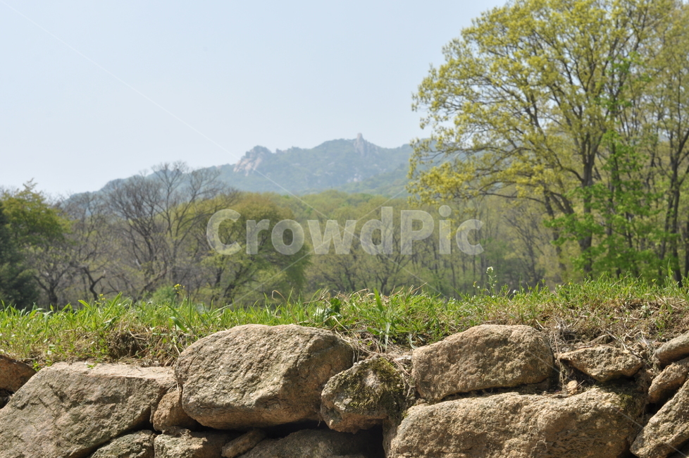 자연,풍경,봄,나무,녹음,봄풍경,봄,계절,spring,season,자연,풍경,nature,landscape,rubble,파편,ground,바닥,wall,벽