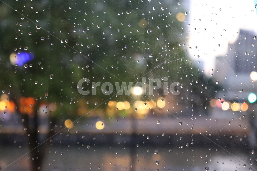 비,창밖,아련한,보케,감성적인,비,비오는날,rain,rainy