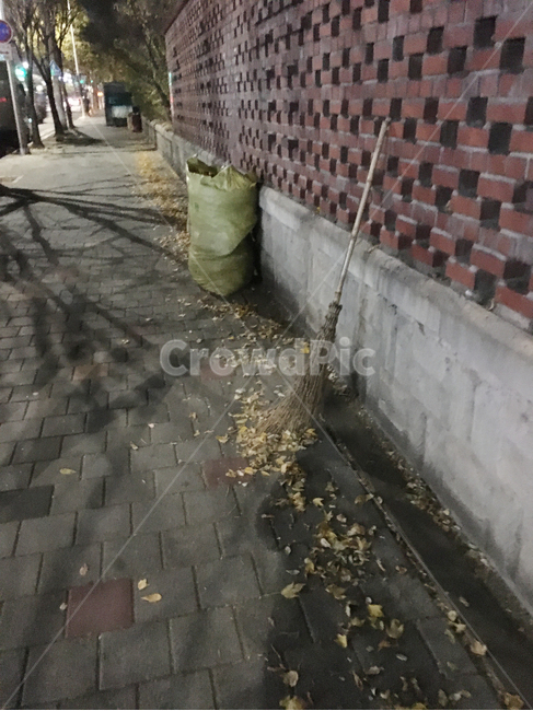 담,거리,나무,낙엽,자연,풍경,공원,보도블럭,생활,wall,street,sidewalkblock,nature,scenery,deciduous,tree,life,park,보도,sidewalk,판석,flagstone,walkway,통로,path