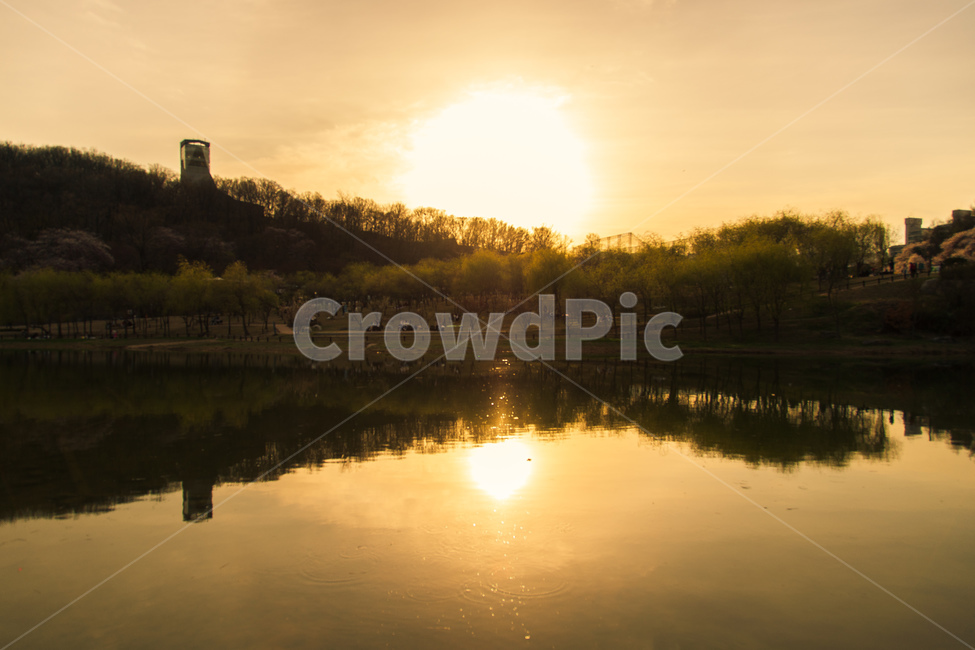 북서울꿈의숲,호수,노을,감성노을,감성,자연,풍경,nature,landscape,flare,플레어,light,빛,outdoors,옥외,water,물,sunlight,햇빛