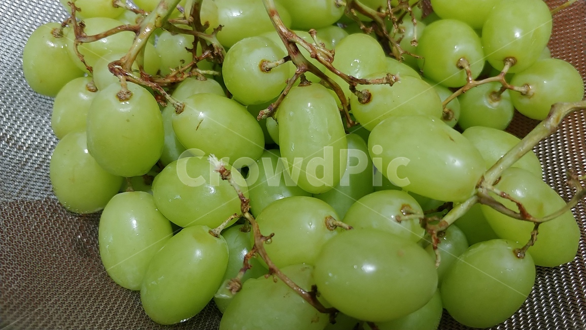 청포도,과일,신선한,초록색,greengrape,fruit,음식,식재료,요리,food,cook,meal,dishes,food reserves,과일,열매,fruit