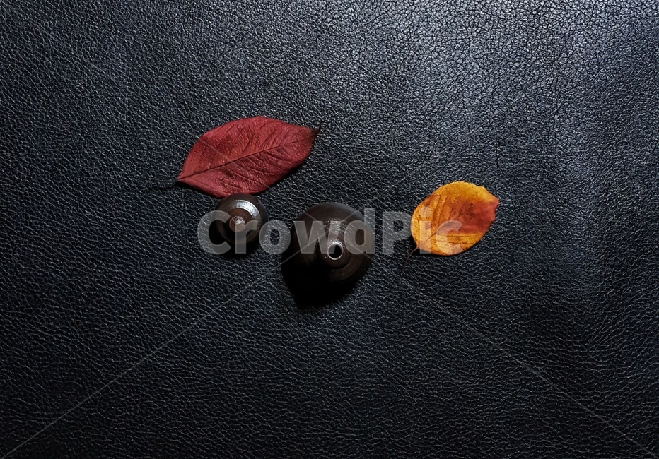 낙엽,계절,가을,옹기,도자기,자연,감성,소품옹기,항아리,한국,전통,색상,칼라,사물,물건,fall,nature,season,feeling,collor,korean,object