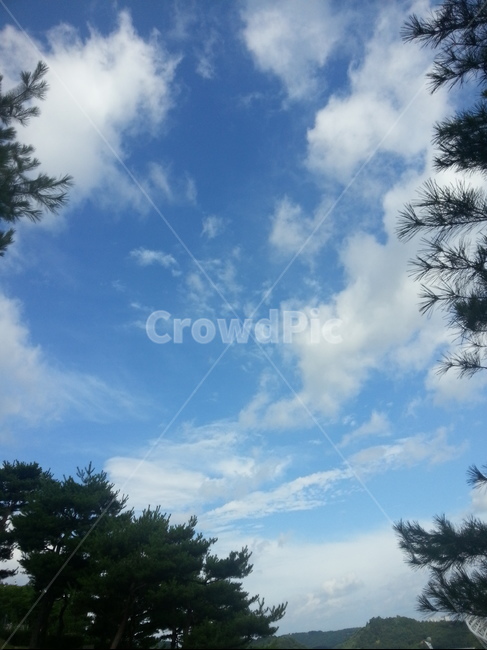 자연,구름,산,cloud,mountain,화창한,푸른,힐링,healing,상쾌한,나무,tree,자연,풍경,nature,landscape,plant,식물,outdoors,옥외