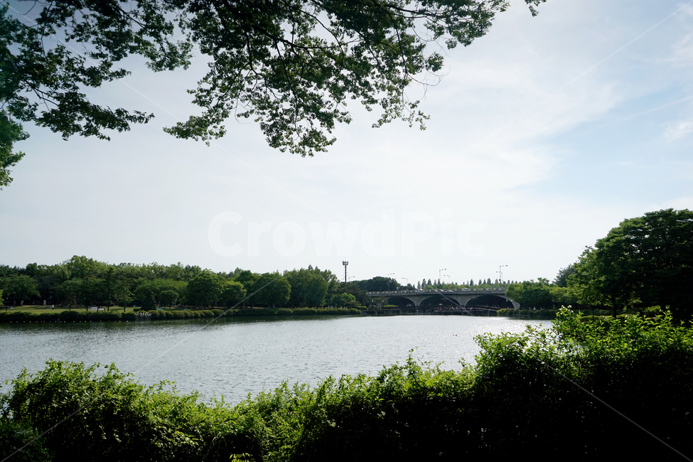 water,nature,자연,outdoors,옥외,풍경,호수,한국,물,바다,식물,나무