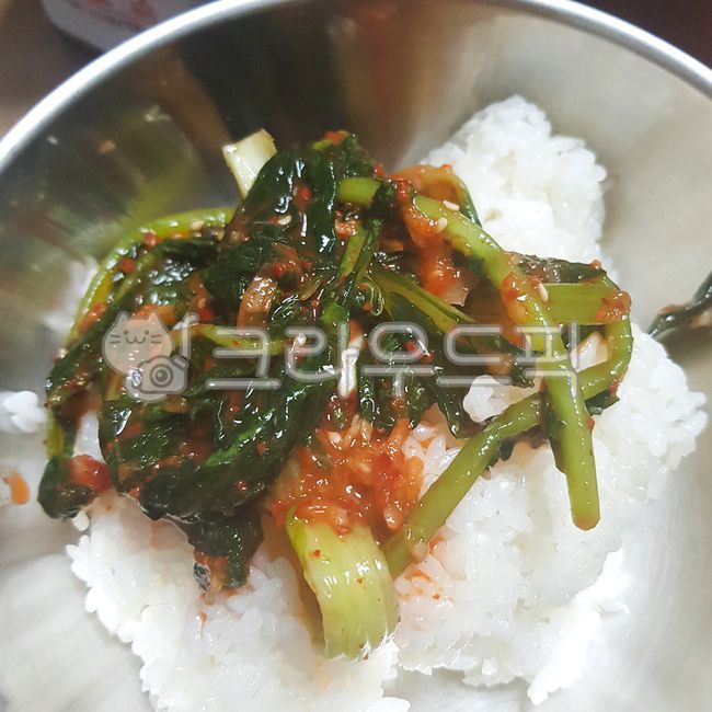 비빔밥,밥,식사,열무비빔밥,열무