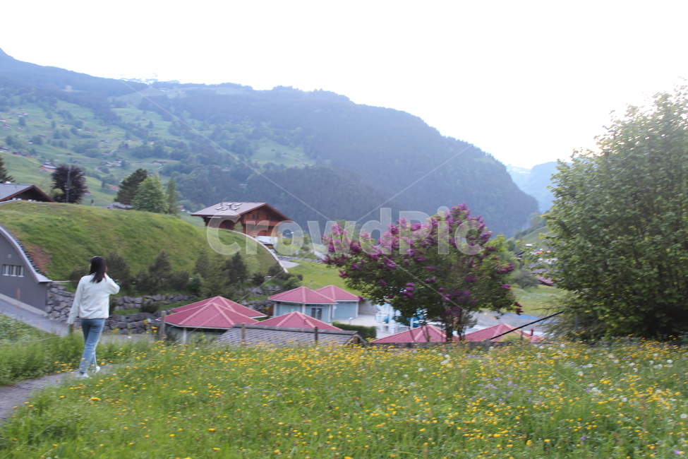 스위스,switzland,유럽,europe,해외,overseas,world,외국,세계,foriegn,관광명소,touristattraction,풍경,landscape,human,인간,person,사람,nature,자연,outdoors,옥외,field,들,grassland,목초지,들꽃,감성사진,feeling