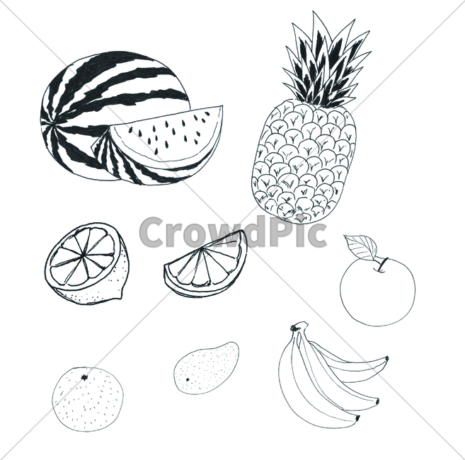 손그림,handdrawing,팬그림,팬라인,pen,penline,penpicture,사과,apple,pendrawing,plant,식물,과일,fruit,수박,레몬,lemon,watermelon,파인애플,pineapple,망고,mango,바나나,banana,오렌지,orange