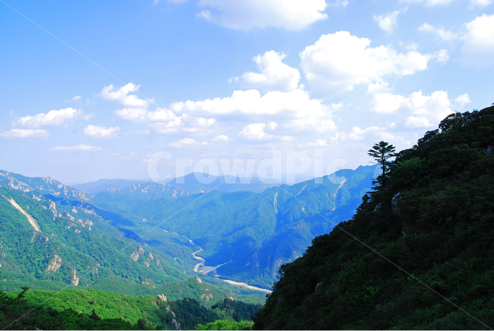 설악산,구름,산,능선,하늘,맑음,파랑색,블루,sky,cloud,clean,환경,바탕,배경,백그라운드,푸른,화창한,background,청명,blue,산아래,풍경,landscape,등산,mountain,healing,힐링,뭉게구름,맑은날,높은산,산위에서,한계령,나무,홀로,자연,풍경,nature,landscape,한국자연풍경,한국자연경관,korea nature landscape,outdoors,옥외