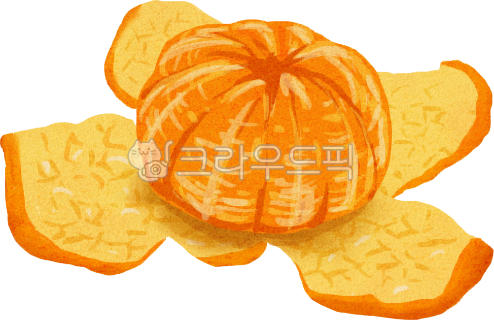 Tangerine,tangerine,tangerine,fruit,Jeju tangerine,orange,sweet and sour tangerine,fresh tangerine,tangerine drawing,tangerine hand drawing,tangerine illustration,tangerine element,winter snack,winter fruit,winter fruit,Jeju tangerine,Jeju