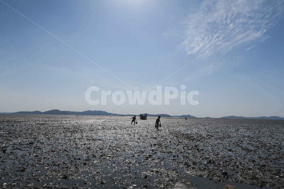 갯벌사진,조개잡기,서해바다,갯벌체험,갯벌,자연,풍경,nature,landscape,사람,인물,인간,human,person,인물실루엣,사람실루엣,character silhouette,human silhouette,gravel,자갈,dirt road,흙길,road,도로