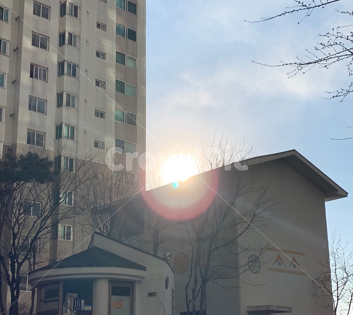 햇빛,아파트,하늘,나뭇가지,건물,sunshine,apartment,sky,branch,building
