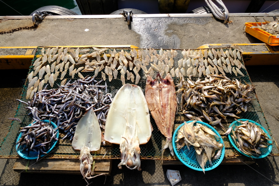 건어물,오징어,노가리,생선,건조,바다,항구,시장,마트,마켓,market,mart,market place,음식,식재료,요리,food,cook,meal,dishes,food reserves,수산물,해산물,fishery products,seafood