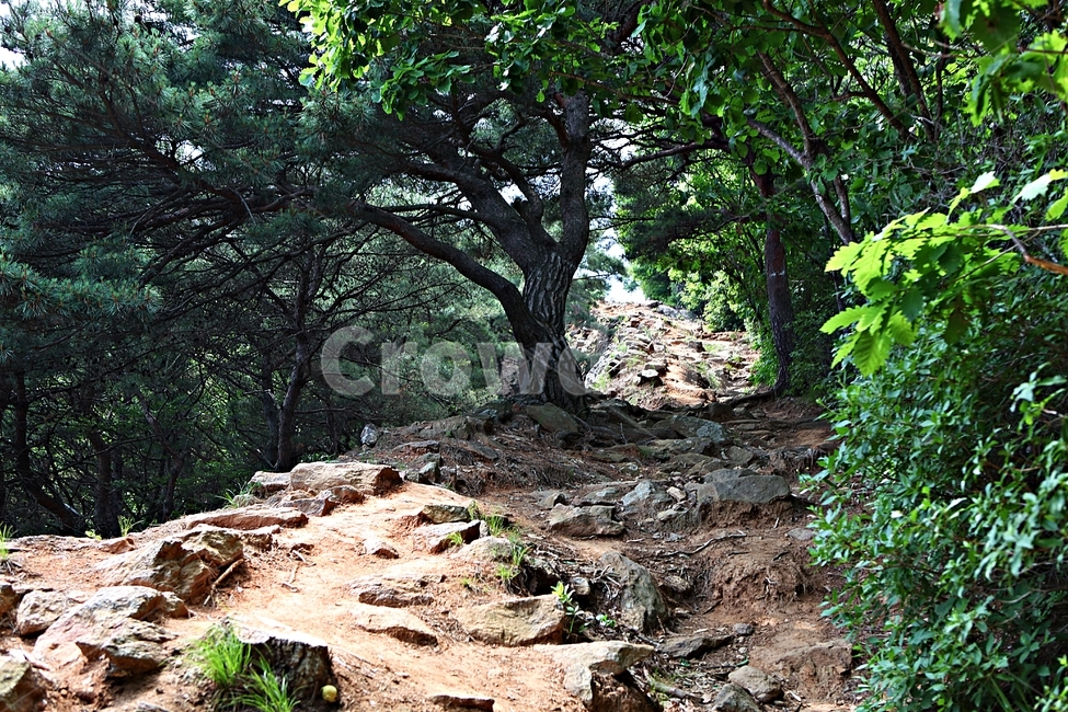 전등사,전등사둘레길,길,돌담,성곽,풍경