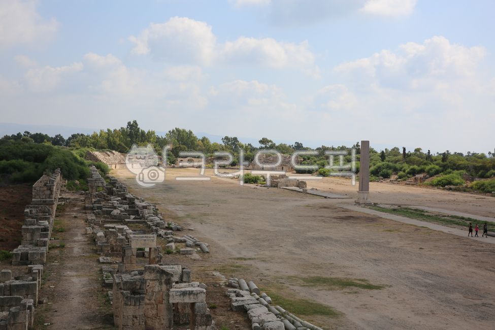 유적,고고학,레바논,tyre,lebanon,전차경기장,티레,ruins