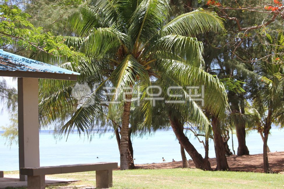 saipan,wingbeach,사이판,바다,해변,사이판해변,sea,beach