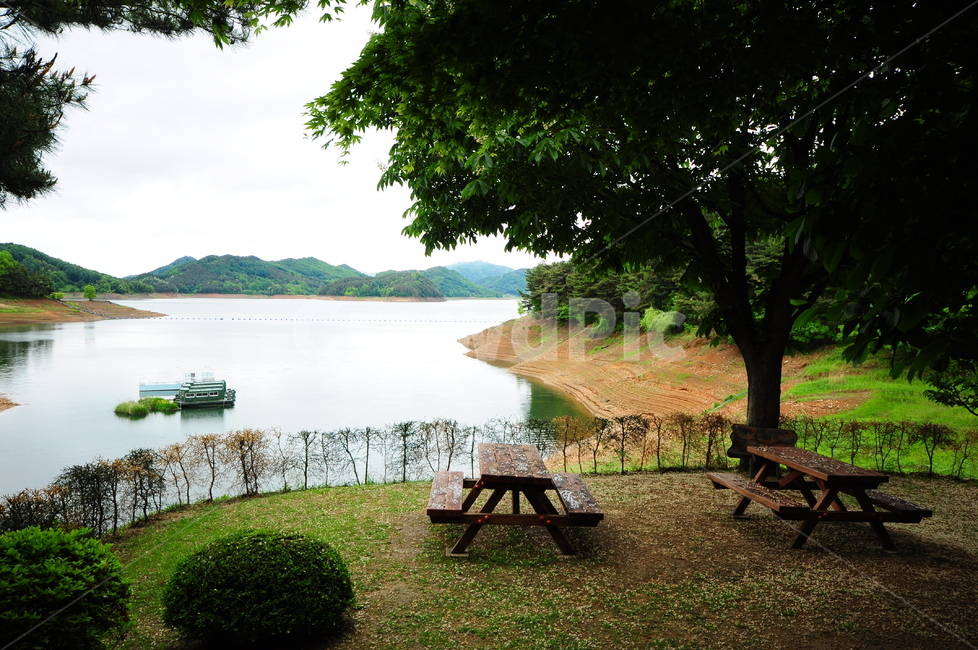벤치,의자,나무,강,호수,쉼터,자연,풍경,nature,landscape,water,물,outdoors,옥외,bench